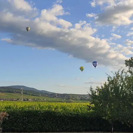 L'oree Du Vignoble Le Nid Alsace Wine Route Apartmán Blienschwiller
