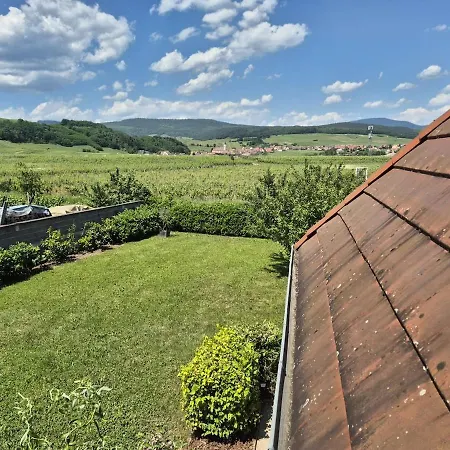 דירה L'oree Du Vignoble Le Nid Alsace Wine Route בלינשווילר